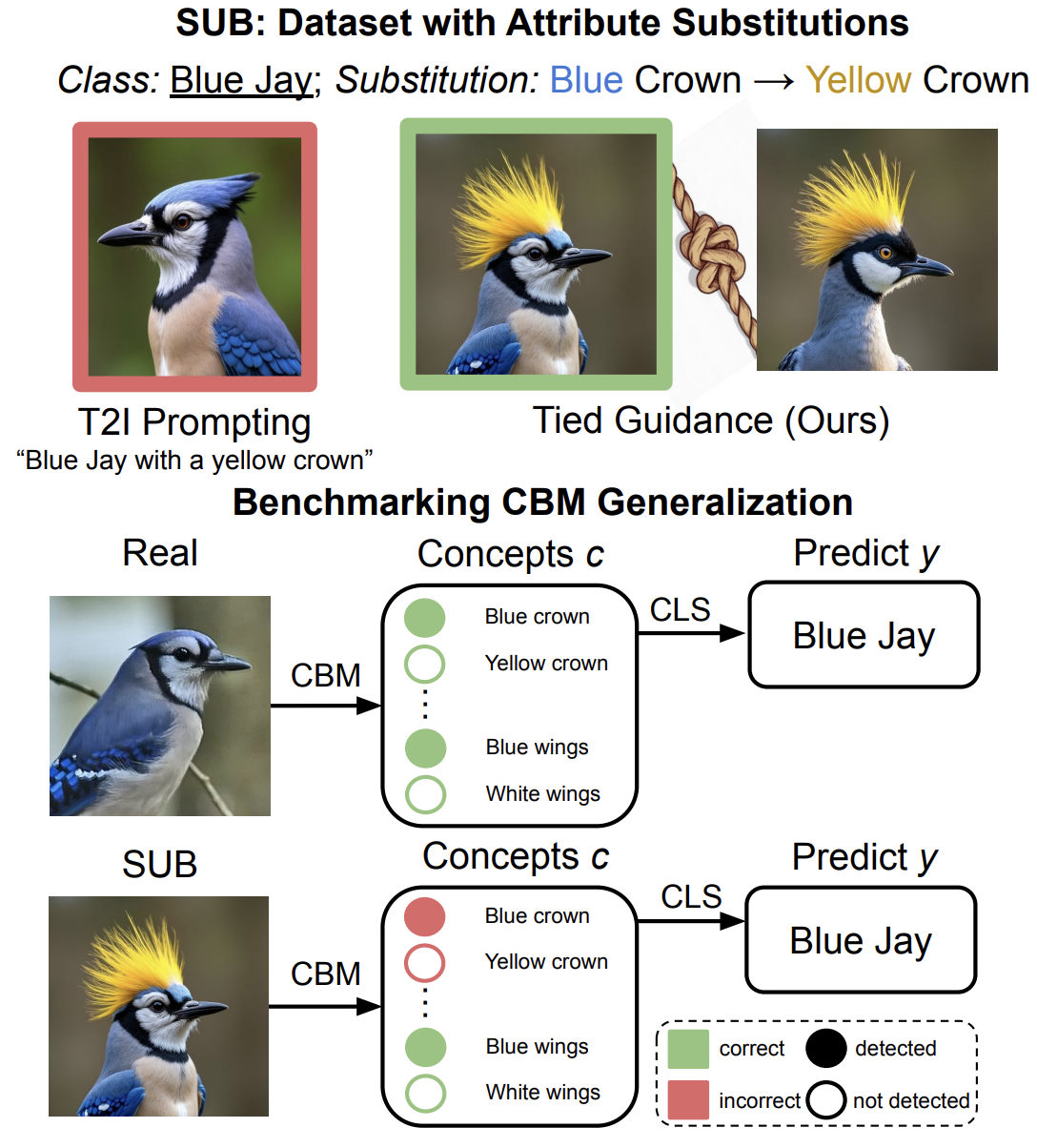 SUB publication image